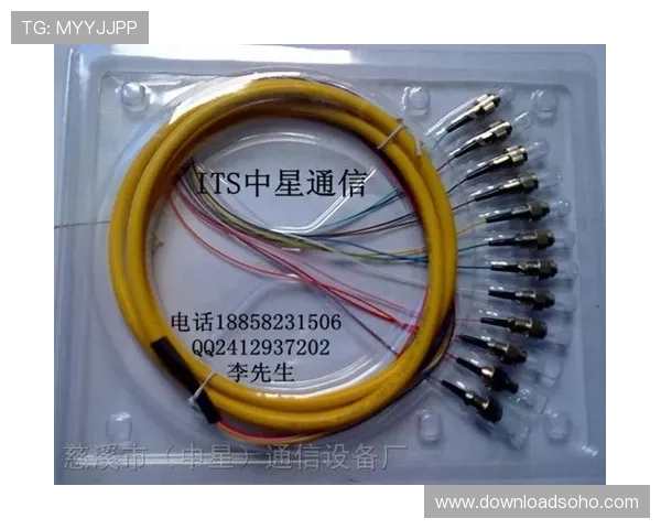 FC电子市场价格比较:不同品牌电子产品性价比全面评测 FC电子市场价格比较:不同品牌电子产品性价比全面评测