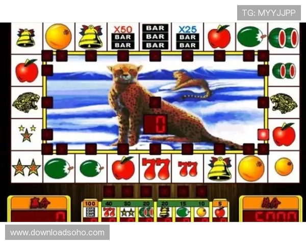 老虎机揭秘大公开:揭秘老虎机的奖金设置与奖励机制背后的秘密 老虎机揭秘大公开:揭秘老虎机的奖金设置与奖励机制背后的秘密