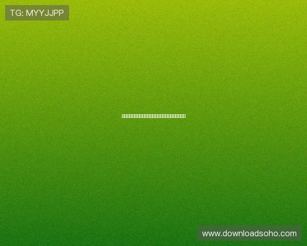 通过实践与经验，揭示庄闲游戏中的心理博弈与战术运用